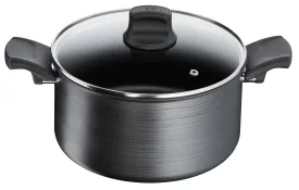 Tefal Titanium Fusion Induction Non-Stick Stewpot 24cm/5L   Lid